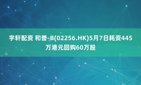 宇轩配资 和誉-B(02256.HK)5月7日耗资445万港元回购60万股