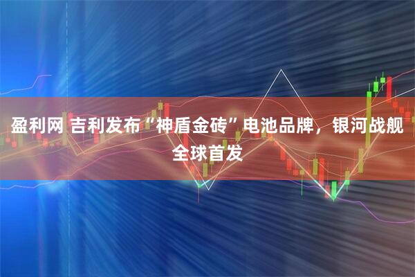 盈利网 吉利发布“神盾金砖”电池品牌，银河战舰全球首发