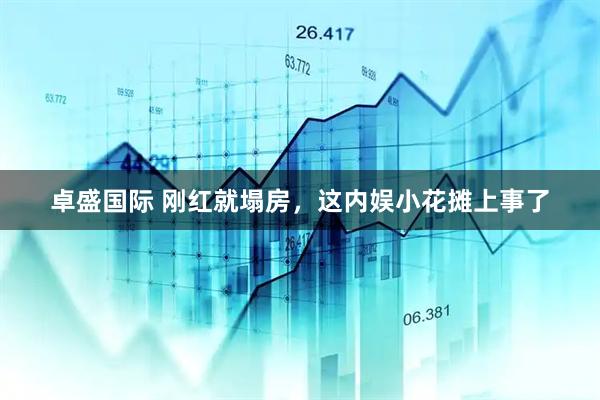 卓盛国际 刚红就塌房，这内娱小花摊上事了
