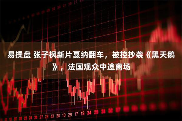 易操盘 张子枫新片戛纳翻车，被控抄袭《黑天鹅》，法国观众中途离场