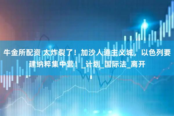 牛金所配资 太炸裂了！加沙人道主义城，以色列要建纳粹集中营！_计划_国际法_离开
