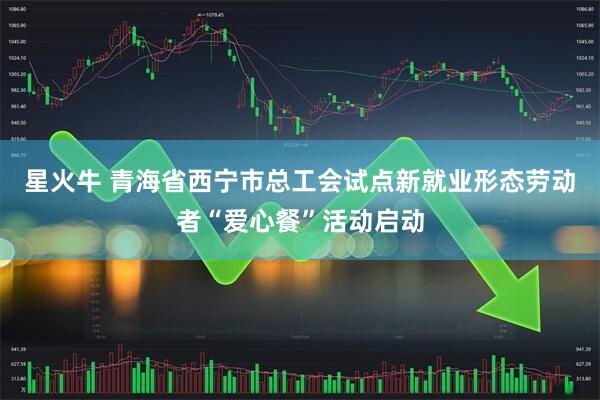 星火牛 青海省西宁市总工会试点新就业形态劳动者“爱心餐”活动启动
