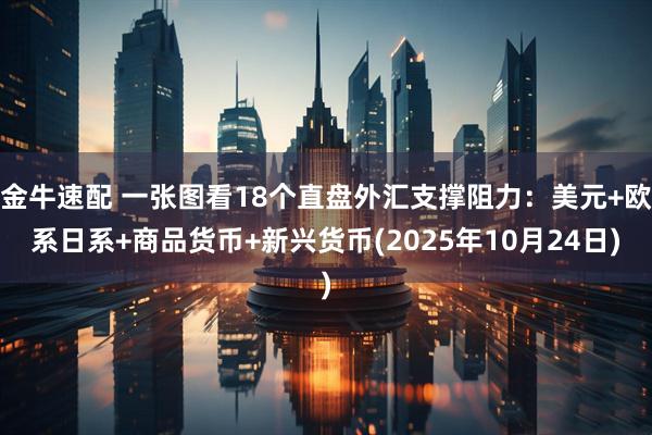 金牛速配 一张图看18个直盘外汇支撑阻力：美元+欧系日系+商品货币+新兴货币(2025年10月24日)