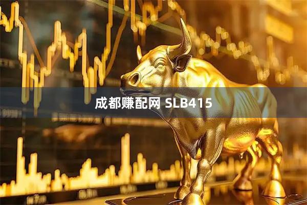 成都赚配网 SLB415