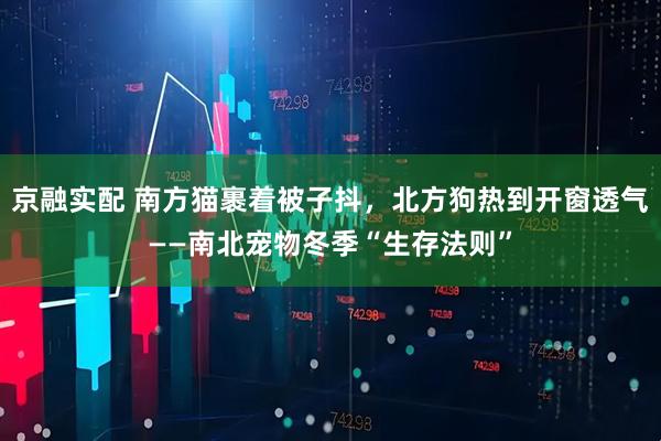 京融实配 南方猫裹着被子抖，北方狗热到开窗透气——南北宠物冬季“生存法则”