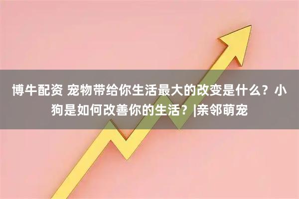博牛配资 宠物带给你生活最大的改变是什么？小狗是如何改善你的生活？|亲邻萌宠