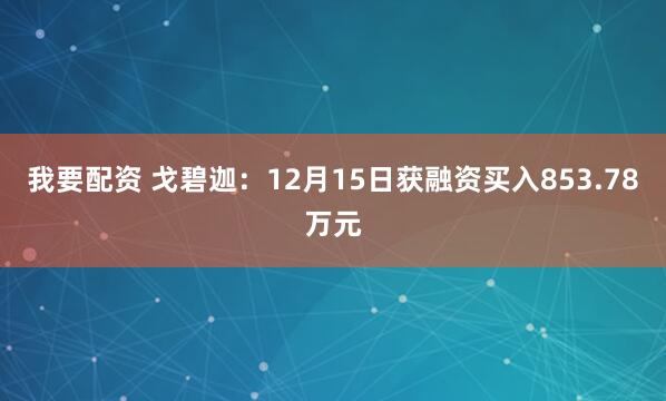 我要配资 戈碧迦：12月15日获融资买入853.78万元